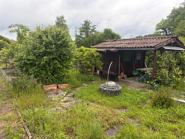 Bienen, Effertikon, Bisikonerstrasse